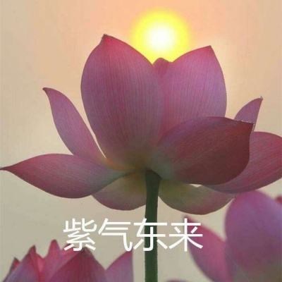 蜘蛛侠跑酷模拟游戏下载