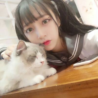 姬战风云手游下载